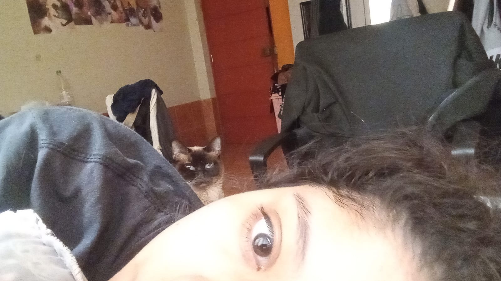 Lupe Sofía - foto 2