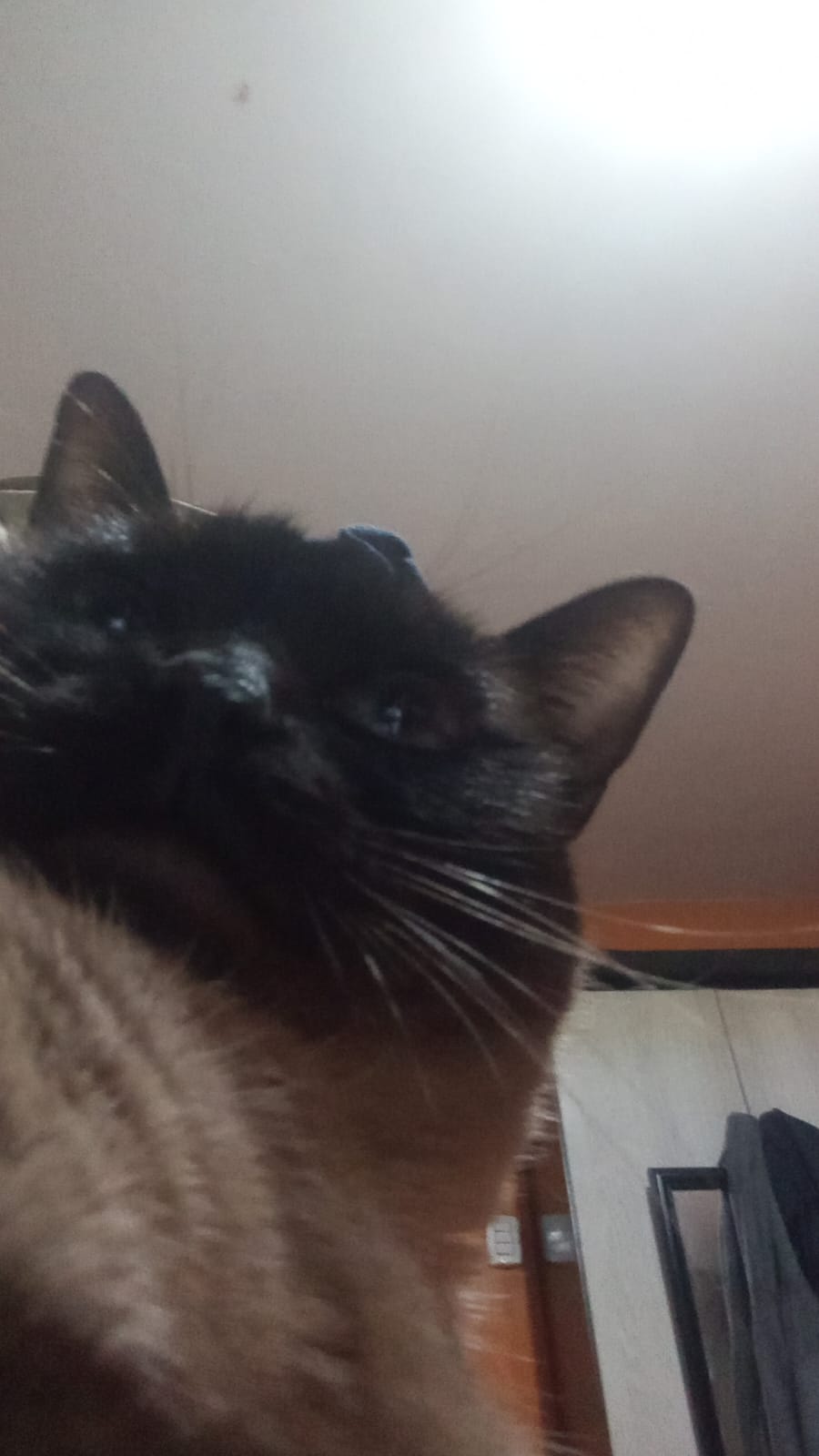 Lupe Sofía - foto 6